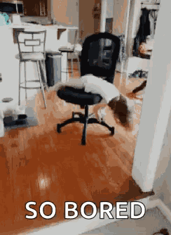 Girl Spinning GIF