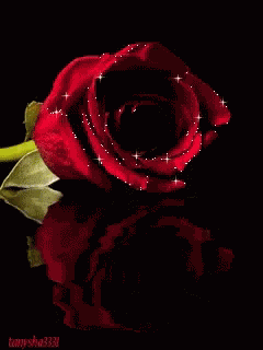 Glitter Rose GIF