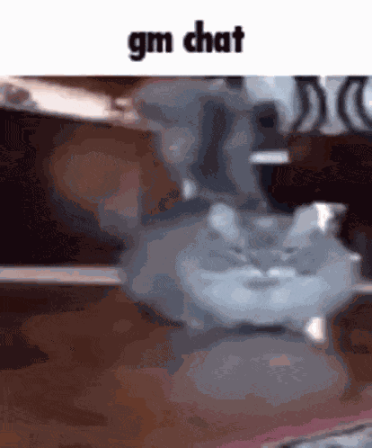Gm Chat GIF