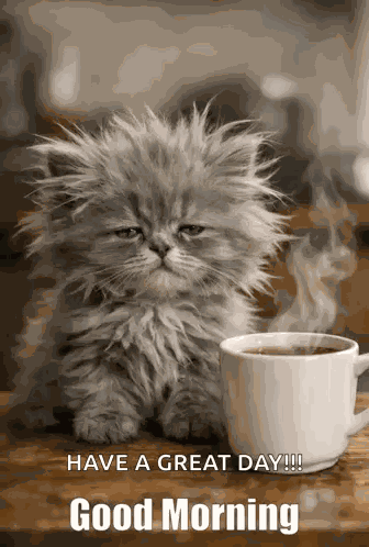 Gm Good Morning GIF