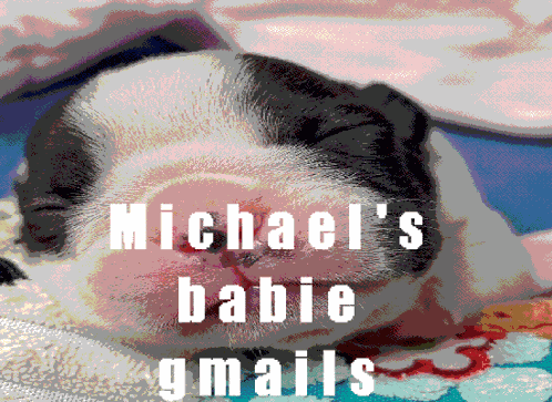 Gmail Pibble Gmail GIF