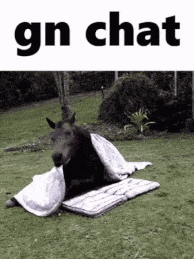 Gn Chat Horse GIF