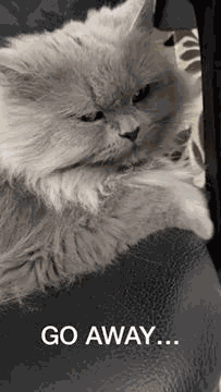 Go Away I Hate You GIF