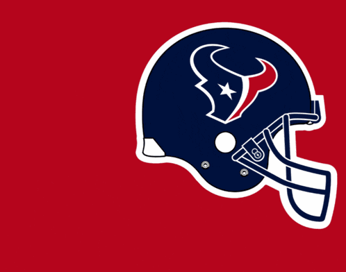 Go Texans Houston Texans GIF