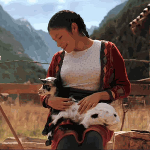Goat Cute GIF