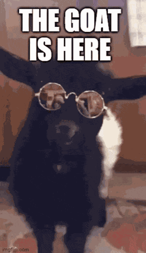 Goatishere GIF