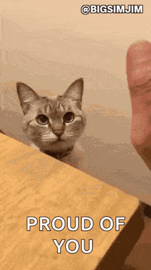 Goatplaybanjo Cat GIF