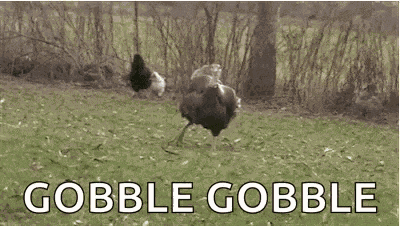 Gobble Its GIF GIF
