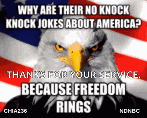 God Bless America Be A Patriot GIF