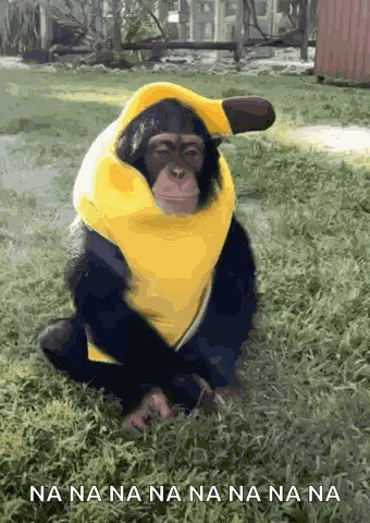 Goidrain Monkey GIF
