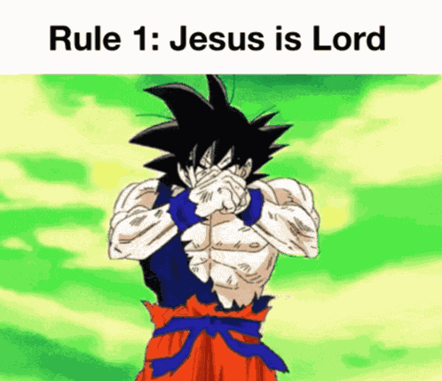 Goku Rule 1 GIF