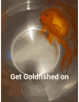 Goldfish Spin Get Goldfished On Sticker