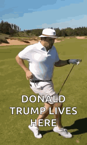 Golf Barstool GIF
