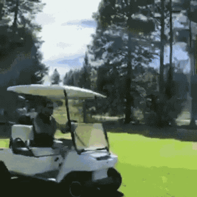 Golf Car Driving GIF