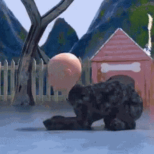 Gone Wrong Cat GIF