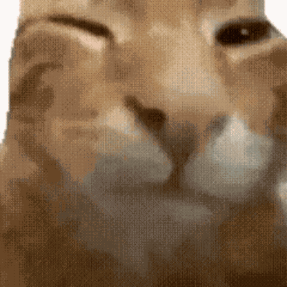Goobye Kitty Bye Bye GIF