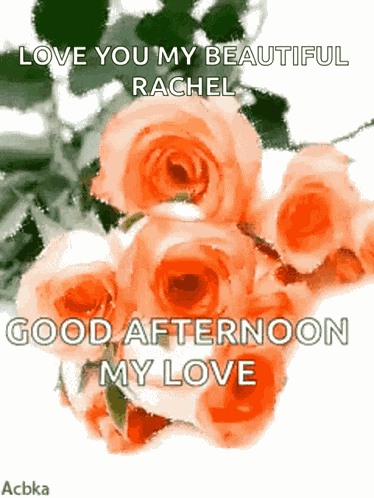 Good Afternoon Day GIF