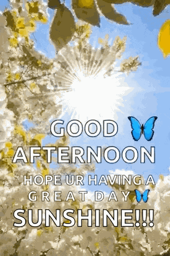 Good Afternoon Flowers GIF