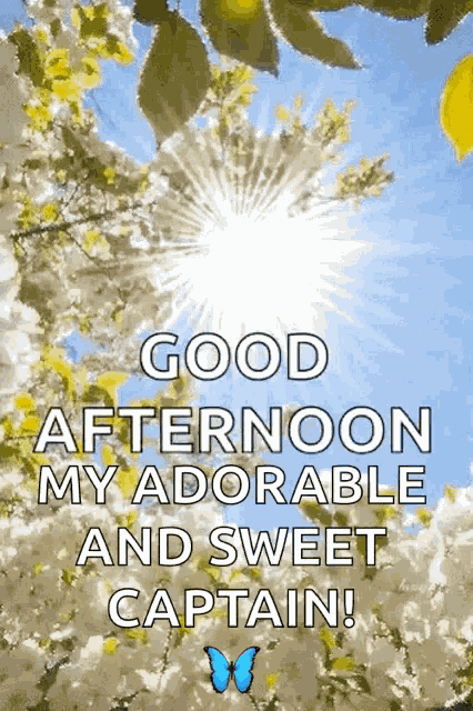 Good Afternoon Flowers GIF