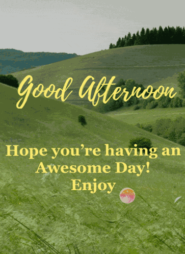 Good Afternoon Good Afternoon My Love Meme