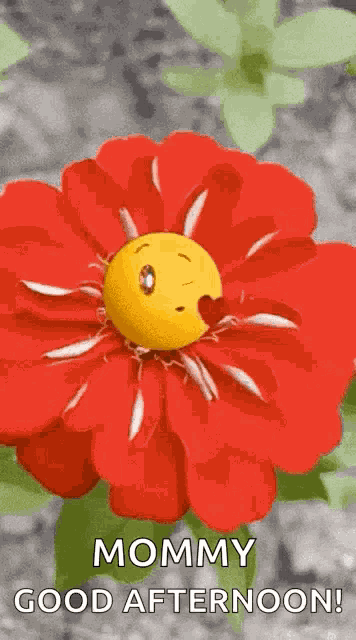 Good Afternoon Love GIF