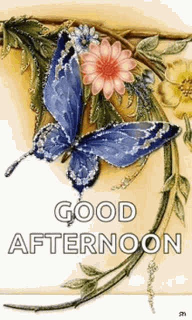 Good Afternoon Rollygifs GIF