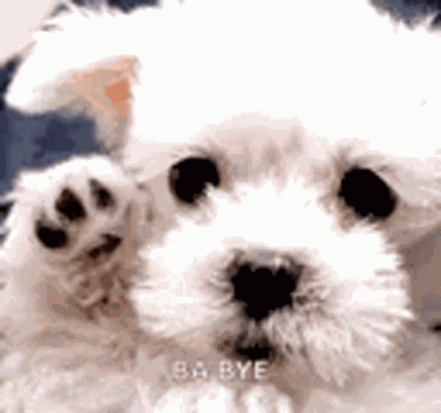Good Bye Bye GIF