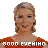 Good Evening Susan Sticker