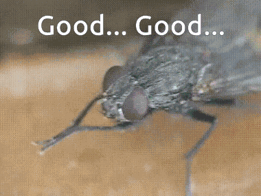 Good Good Rub Hands GIF
