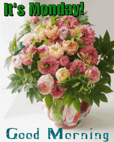 Good Monday Morning GIF