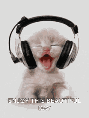 Good Mood Music GIF
