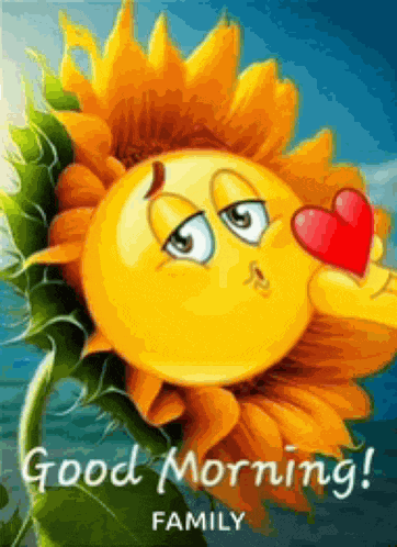 Good Moring Good Morning Images Meme