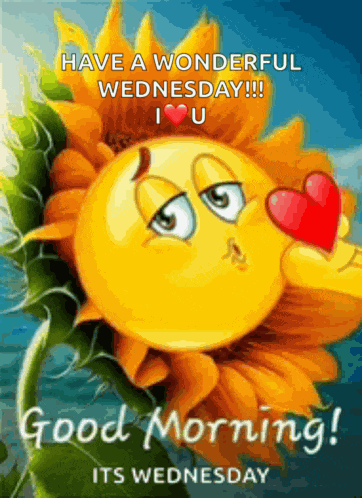 Good Moring Good Morning Images Meme