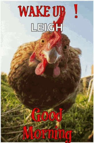 Good Morning 2024 Meme