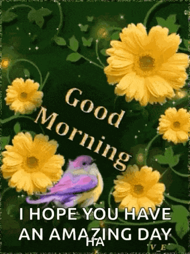 Good Morning GIF