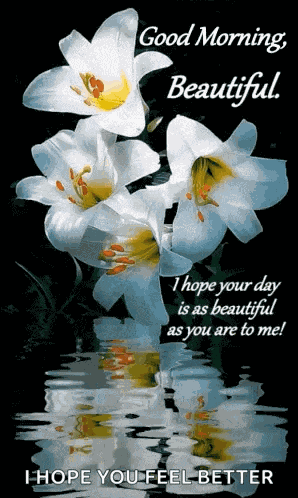 Good Morning Beautiful GIF
