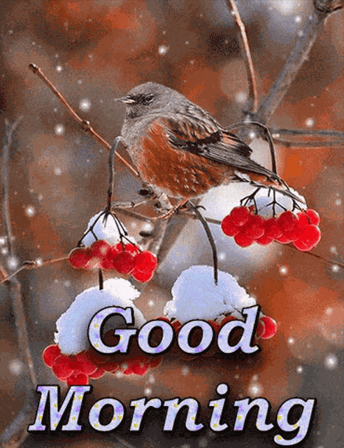 Good Morning Bird GIF