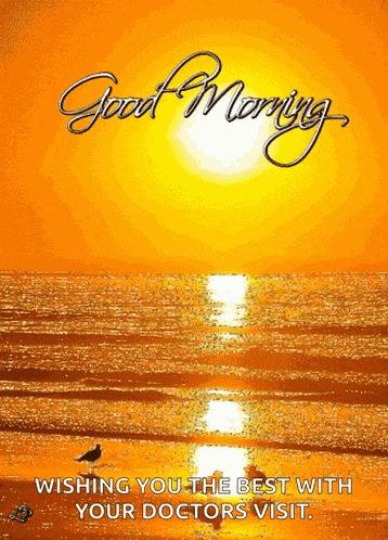 Good Morning Bird GIF