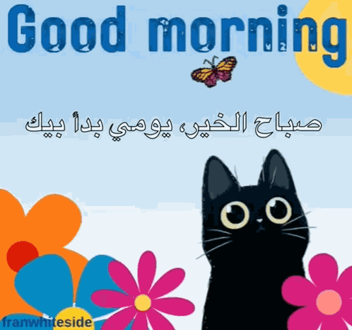 Good Morning Black Cat And Butterflies GIF