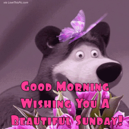 Good Morning Butterfly GIF