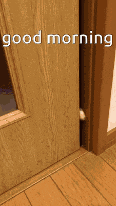 Good Morning Cat GIF