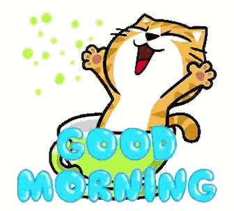 Good Morning Cat GIF