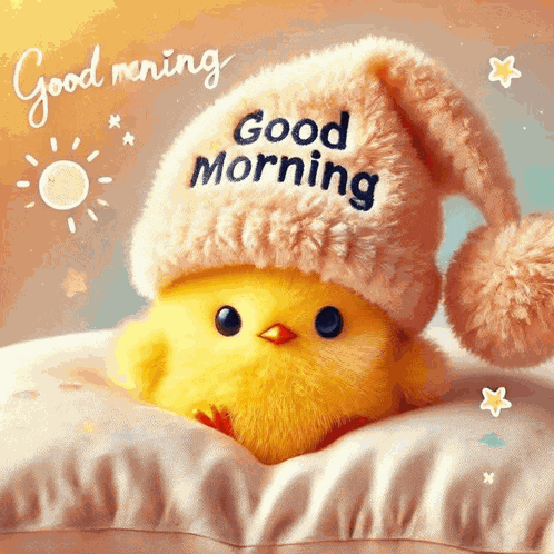 Good Morning Chick Meme