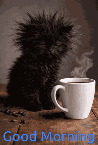 Good Morning Coffee Time GIF