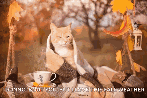 Good Morning Coffee GIF