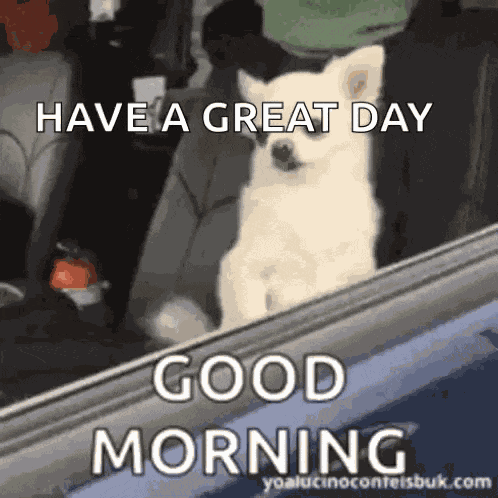 Good Morning GIF