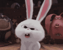 Good Morning Cuz Chase Elliott GIF