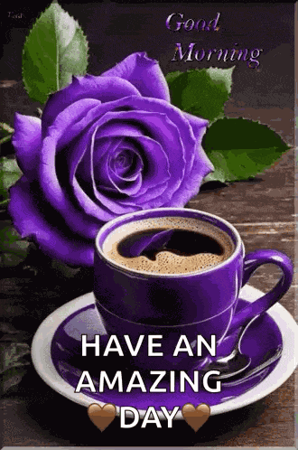 Good Morning GIF