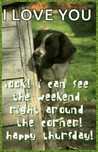 Good Morning GIF