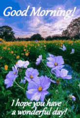Good Morning Field Of Flowers GIF